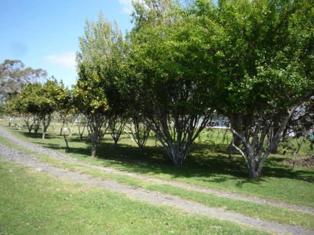 Blue House Villa Awanui Bagian luar foto